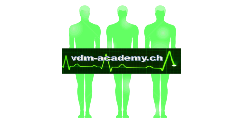 VDM-Academy